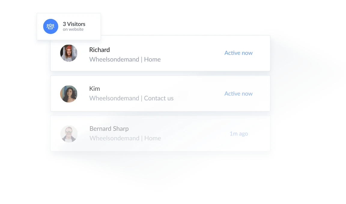 The option to view the visitors on your Joomla website.